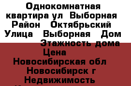 Однокомнатная квартира ул. Выборная › Район ­ Октябрьский › Улица ­ Выборная › Дом ­ 117/2 › Этажность дома ­ 9 › Цена ­ 11 000 - Новосибирская обл., Новосибирск г. Недвижимость » Квартиры аренда   . Новосибирская обл.,Новосибирск г.